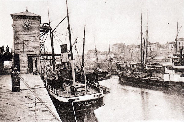 Palmira - Colección L. Santa Olaya Palmira - Colección L. Santa Olaya